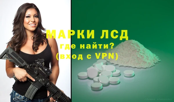 трава Аркадак