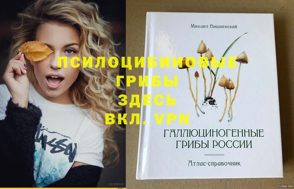 трава Аркадак